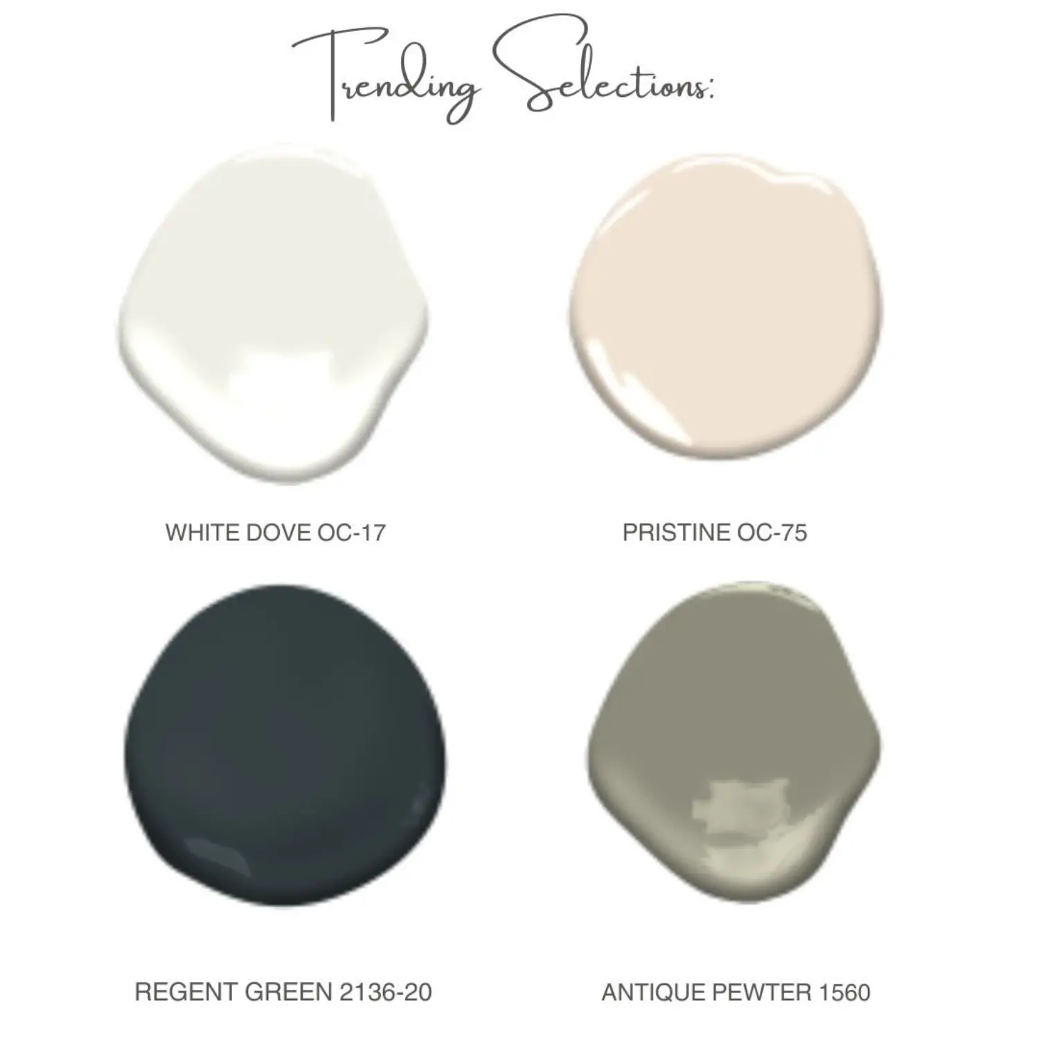 2024 Paint Colour Trends And Tips 1 2024 Paint Colour Trends and Tips | MODLUX INTERIORS